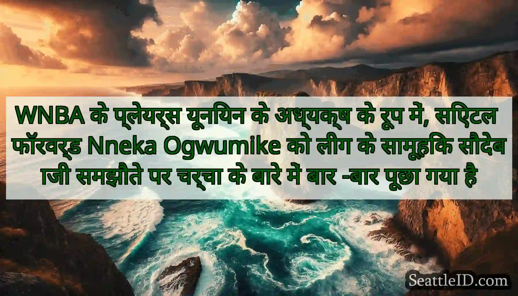 WNBA के प्लेयर्स यूनियन के अध्यक्ष के रूप में,