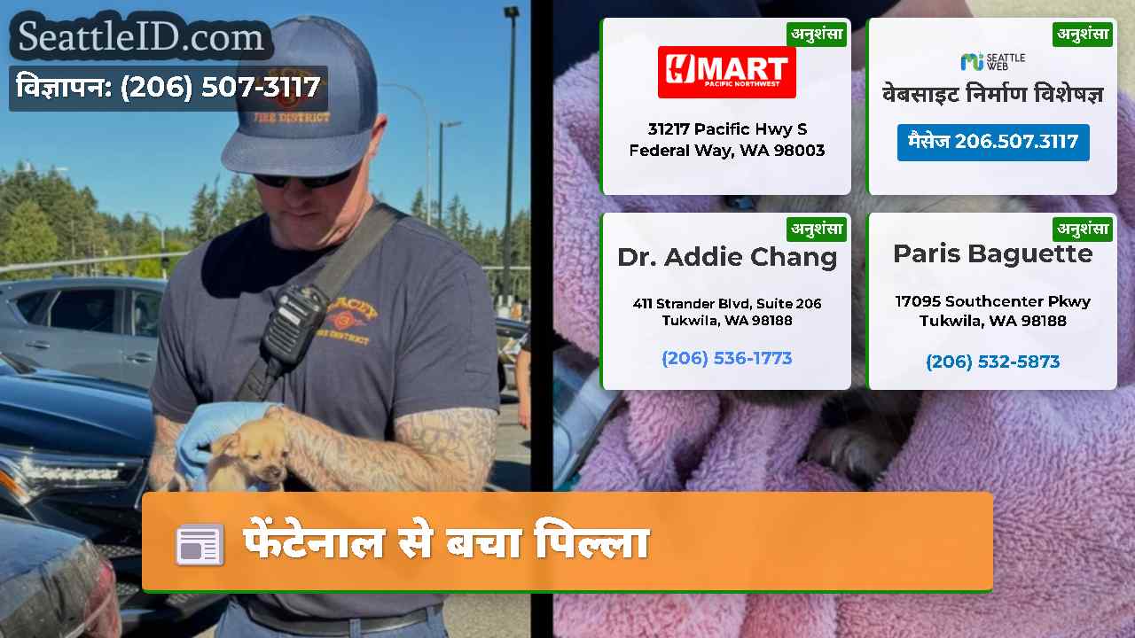 फेंटेनाल से बचा पिल्ला
