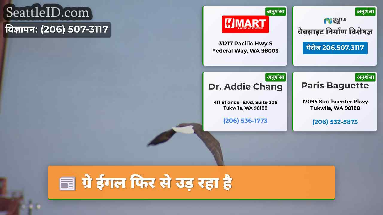 ग्रे ईगल फिर से उड़ रहा है