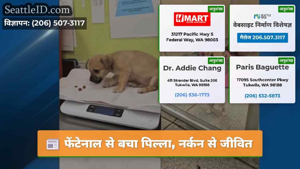 फेंटेनाल से बचा पिल्ला, नर्कन से जीवित