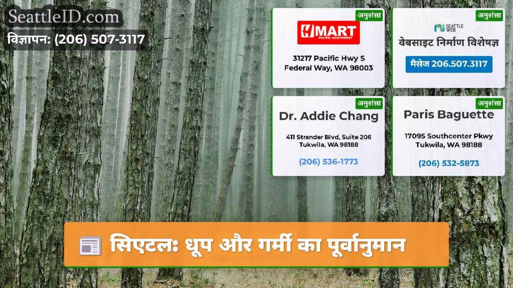 सिएटल: धूप और गर्मी का पूर्वानुमान