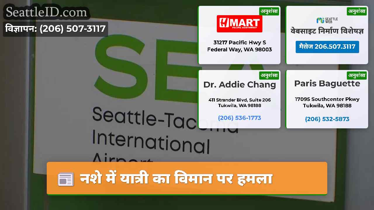 नशे में यात्री का विमान पर हमला