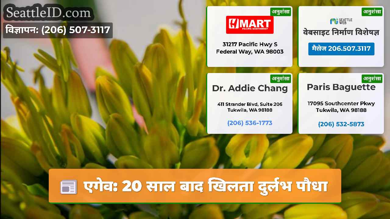 एगेव: 20 साल बाद खिलता दुर्लभ पौधा