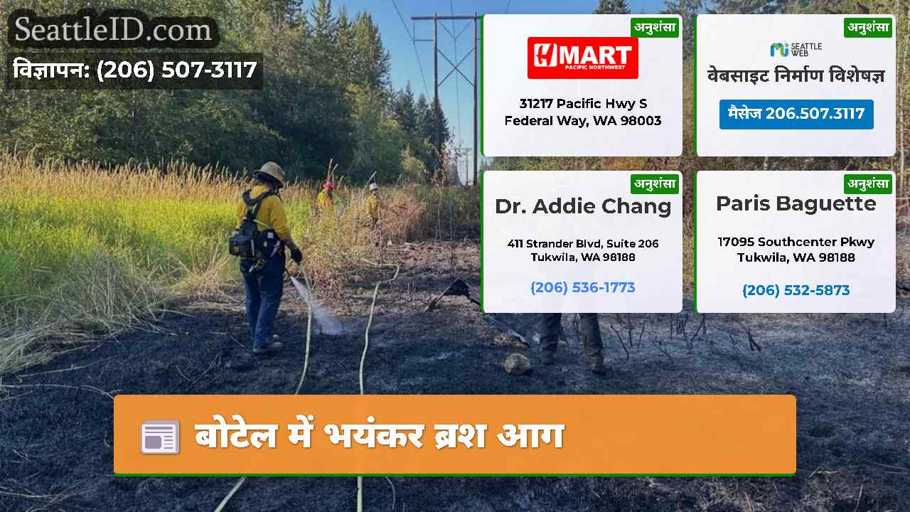 बोटेल में भयंकर ब्रश आग