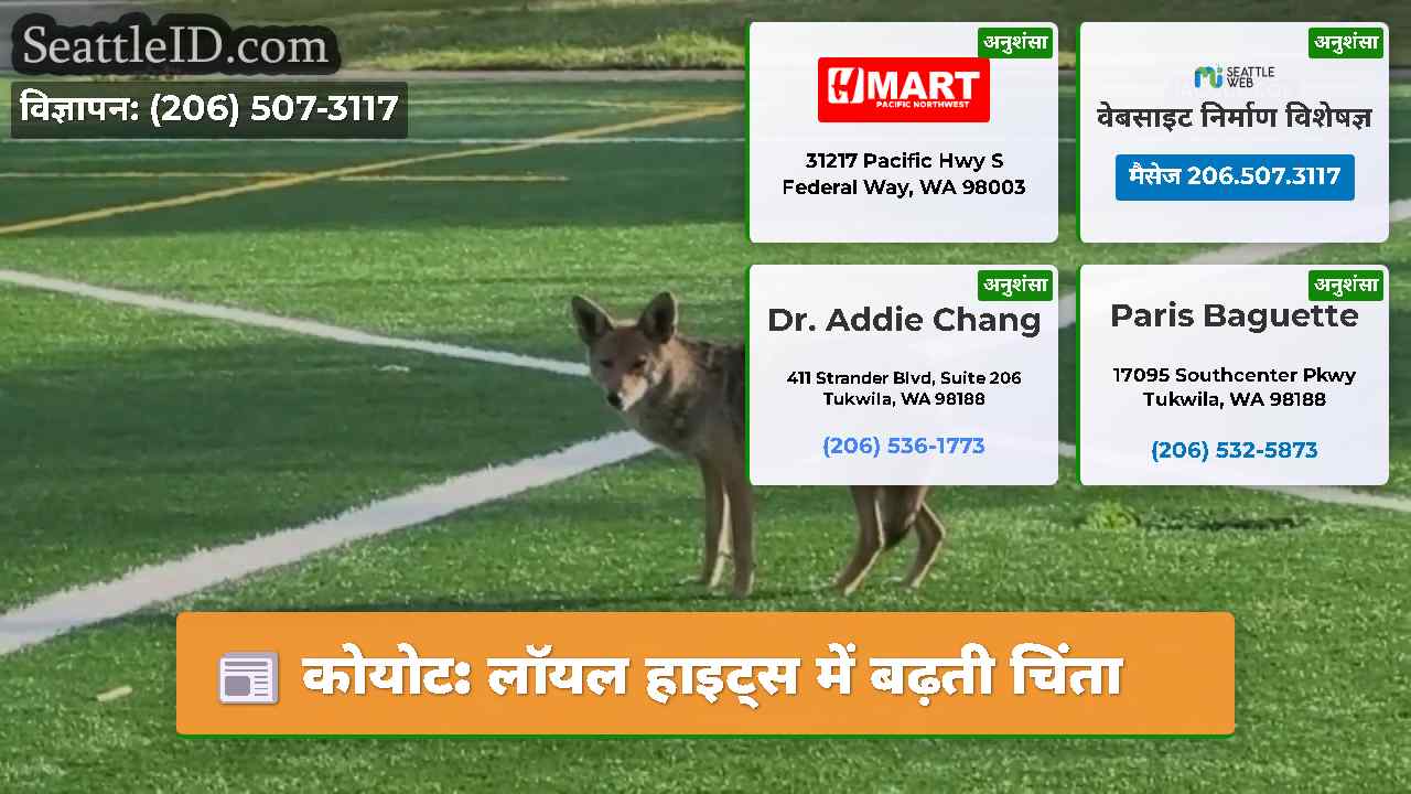कोयोट: लॉयल हाइट्स में बढ़ती चिंता