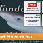 शार्क की खोज पुगेट साउंड