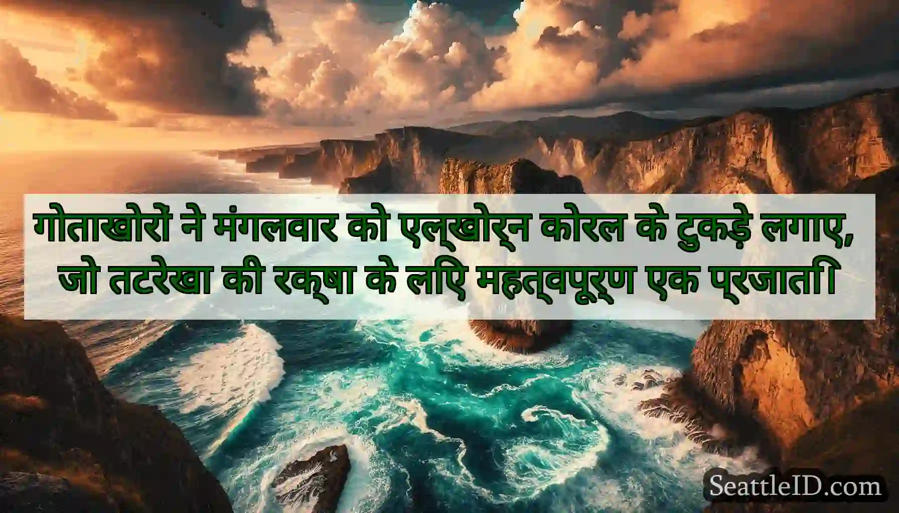 गोताखोरों ने मंगलवार को एल्खोर्न कोरल के टुकड़े