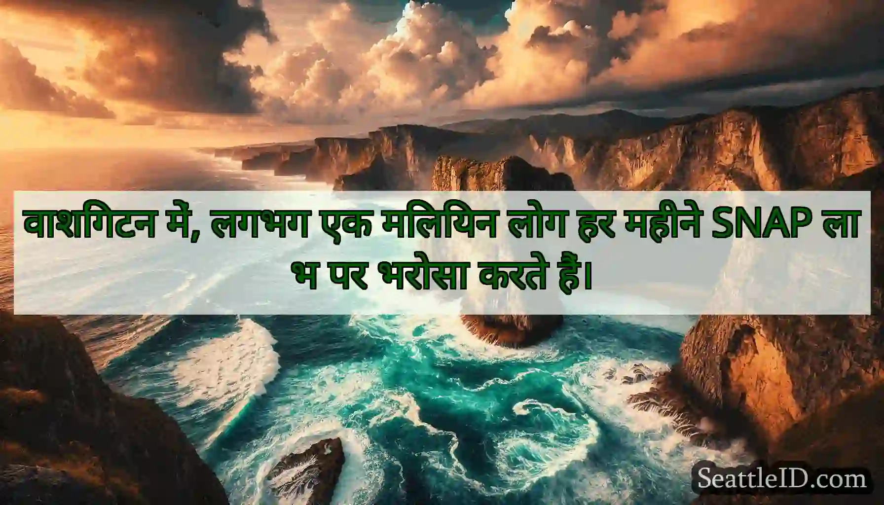 वाशिंगटन में, लगभग एक मिलियन लोग हर महीने SNAP