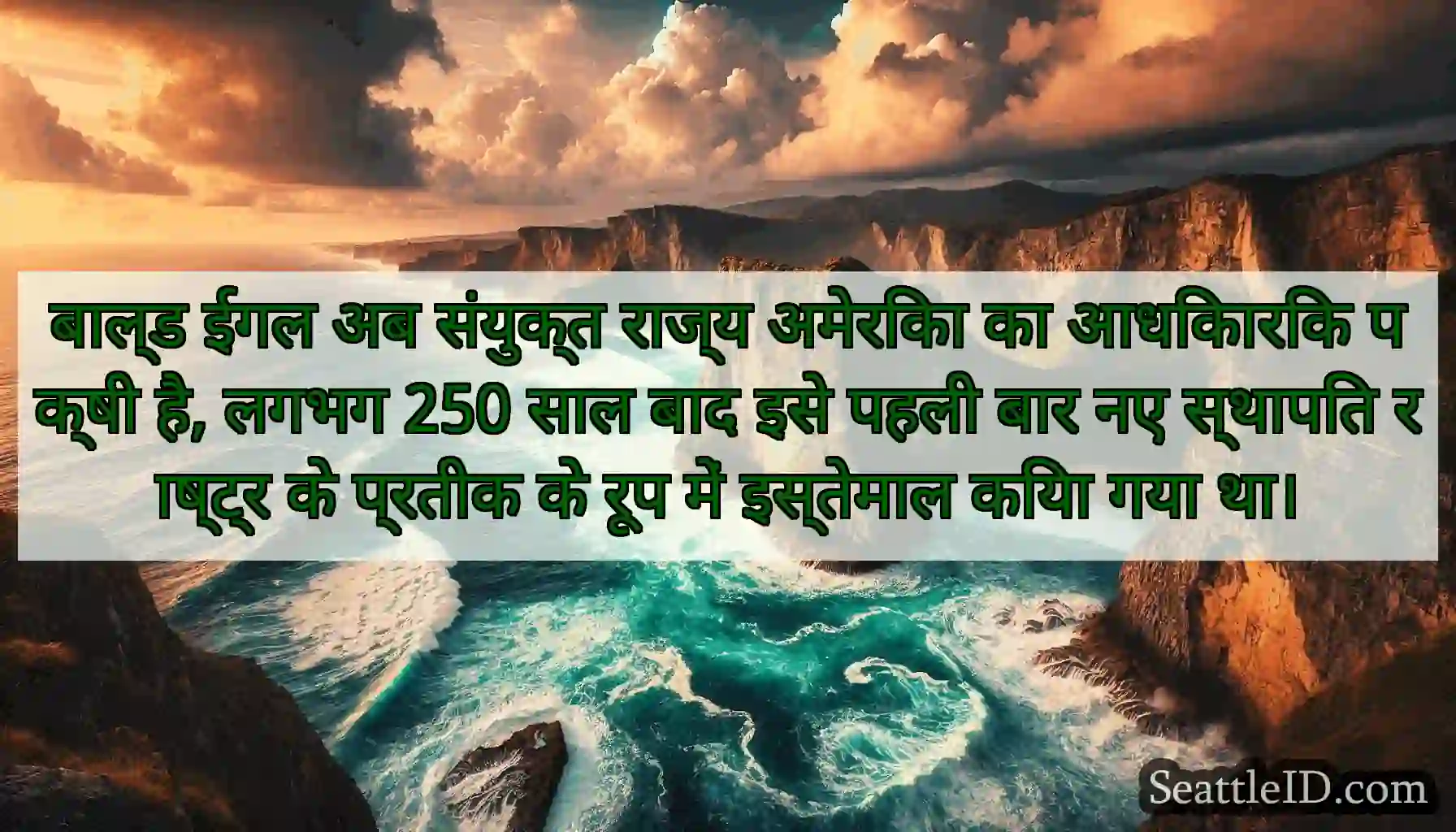 बाल्ड ईगल अब संयुक्त राज्य अमेरिका का आधिकारिक