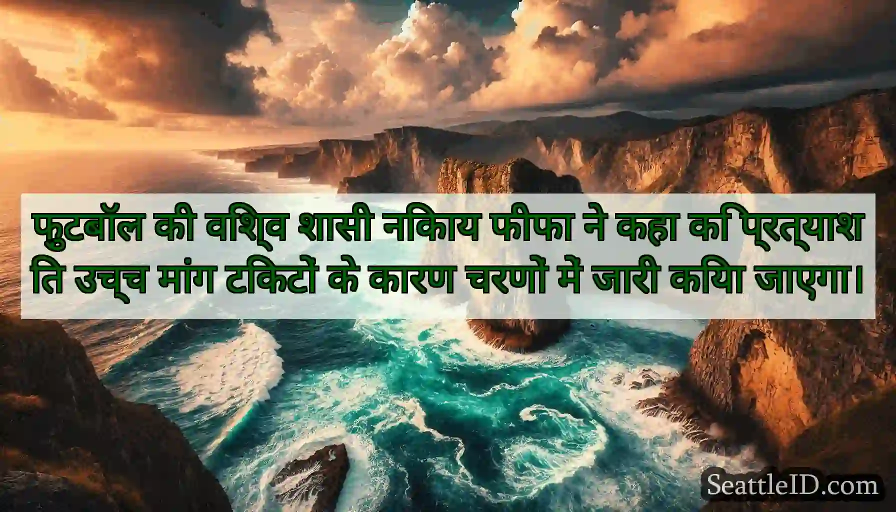फ़ुटबॉल की विश्व शासी निकाय फीफा ने कहा कि