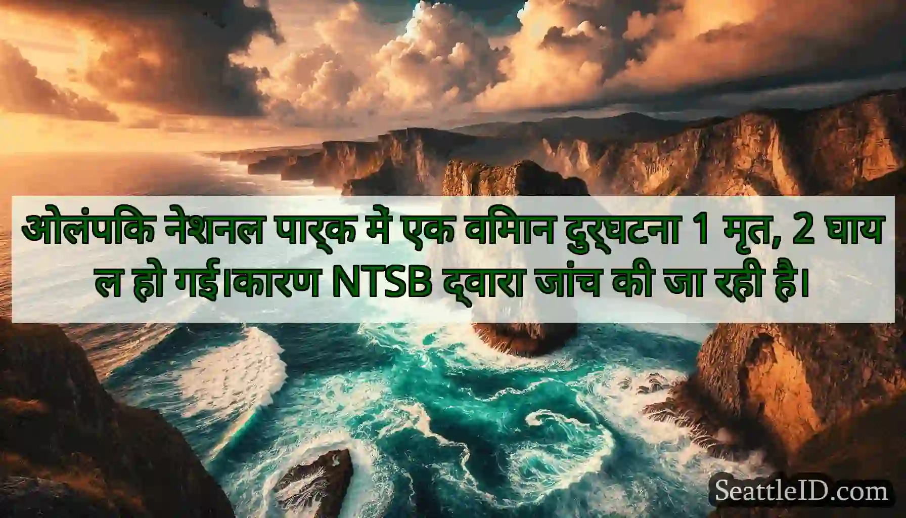 ओलंपिक नेशनल पार्क में एक विमान दुर्घटना 1 मृत, 2