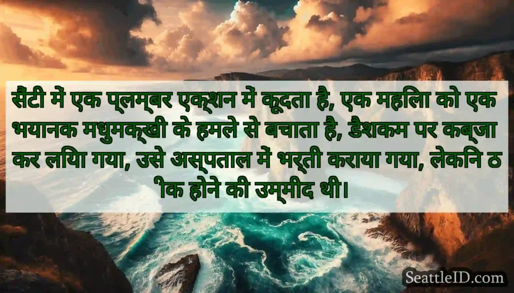 सैंटी में एक प्लम्बर एक्शन में कूदता है, एक महिला