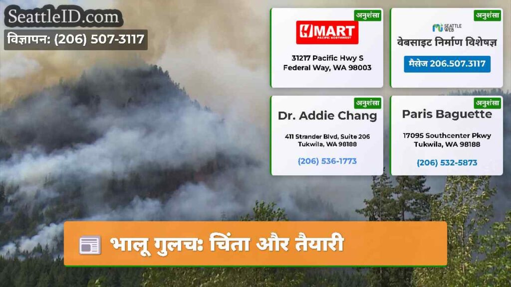 भालू गुलच: चिंता और तैयारी