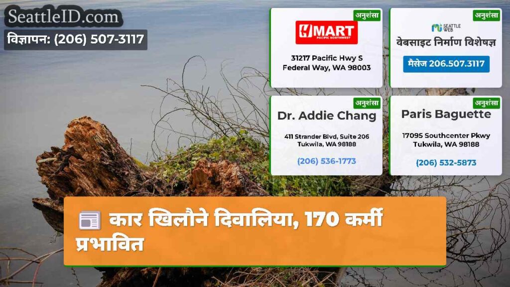 कार खिलौने दिवालिया, 170 कर्मी प्रभावित