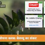 सैमना क्लब बेलव्यू का संकट