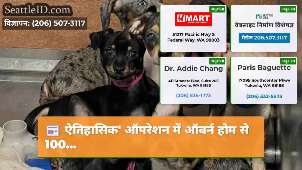 ऐतिहासिक' ऑपरेशन में ऑबर्न होम से 100...