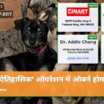 ऐतिहासिक ऑपरेशन में ऑबर्न होम से 100…