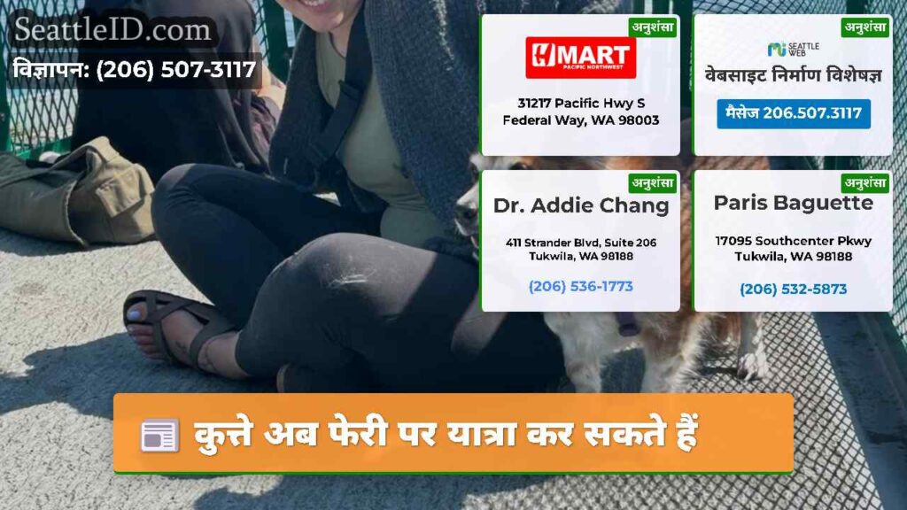 कुत्ते अब फेरी पर यात्रा कर सकते हैं