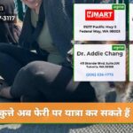 कुत्ते अब फेरी पर यात्रा कर सकते हैं