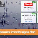 खतरनाक मगरमच्छ कछुआ मिला