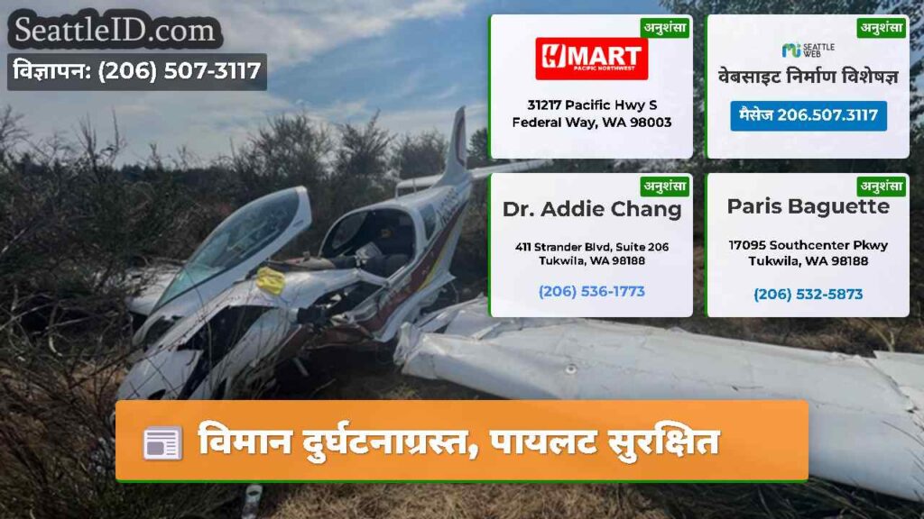 विमान दुर्घटनाग्रस्त, पायलट सुरक्षित