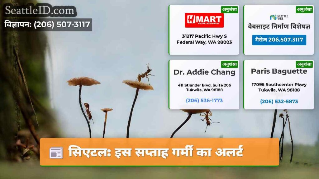 सिएटल: इस सप्ताह गर्मी का अलर्ट