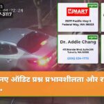नए ऑडिट प्रश्न प्रभावशीलता और राजा का…