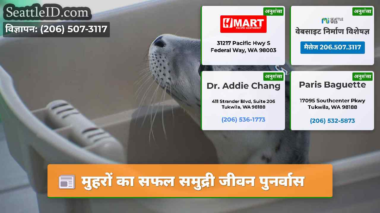 मुहरों का सफल समुद्री जीवन पुनर्वास