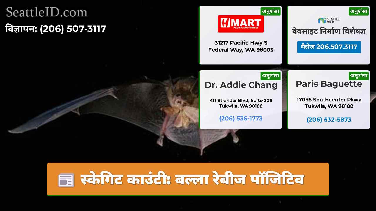 स्केगिट काउंटी: बल्ला रेबीज पॉजिटिव