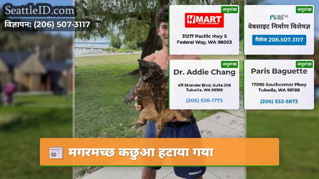 मगरमच्छ कछुआ हटाया गया