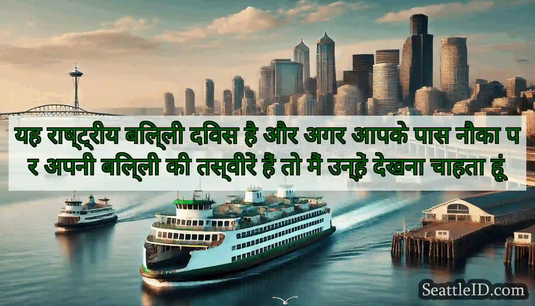 यह राष्ट्रीय बिल्ली दिवस है और अगर आपके पास नौका