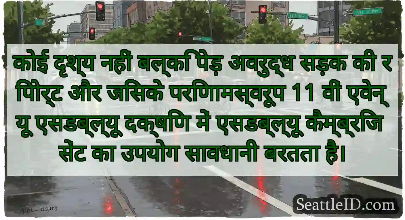 कोई दृश्य नहीं बल्कि पेड़ अवरुद्ध सड़क की रिपोर्ट