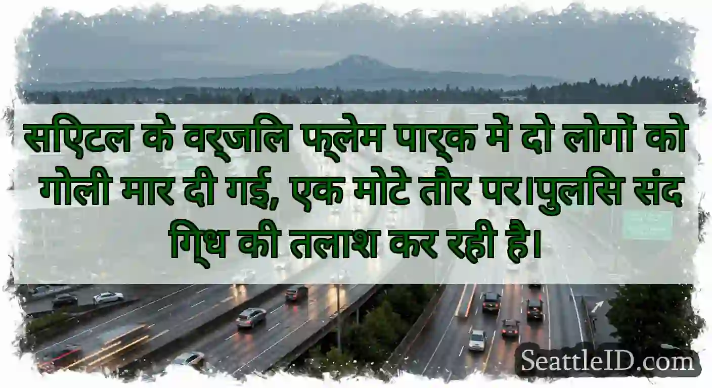 सिएटल के वर्जिल फ्लेम पार्क में दो लोगों को गोली