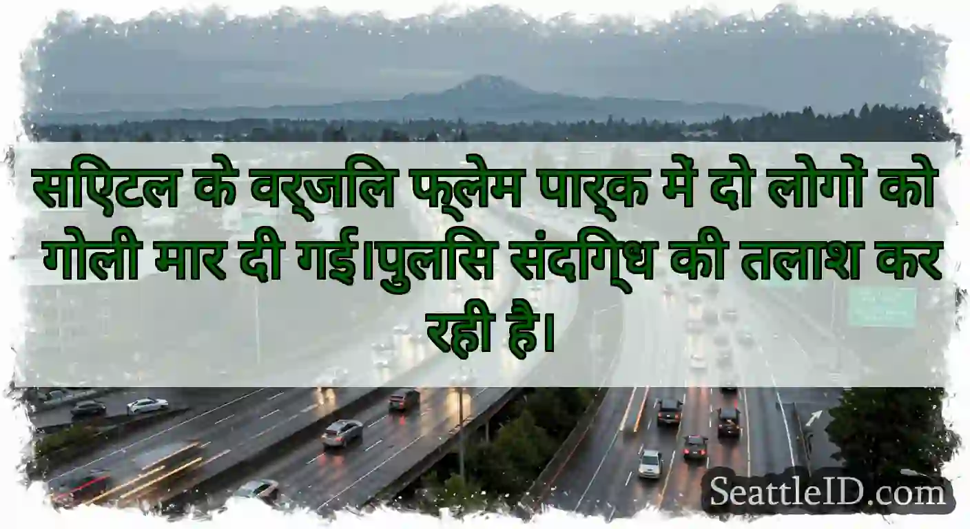 सिएटल के वर्जिल फ्लेम पार्क में दो लोगों को गोली