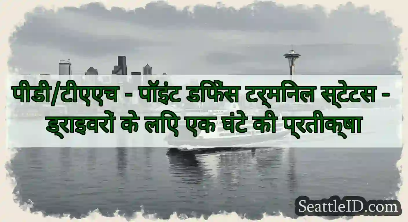 पीडी/टीएएच - पॉइंट डिफेंस टर्मिनल स्टेटस -