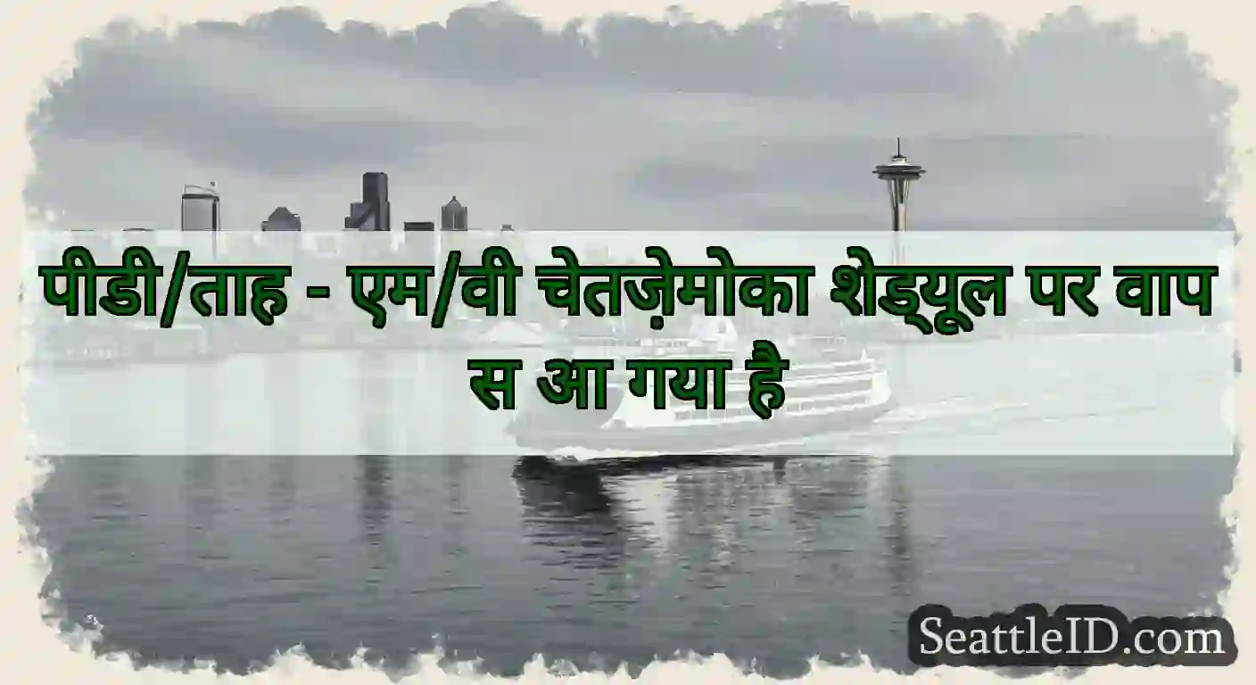 पीडी/ताह - एम/वी चेतज़ेमोका शेड्यूल पर वापस आ गया