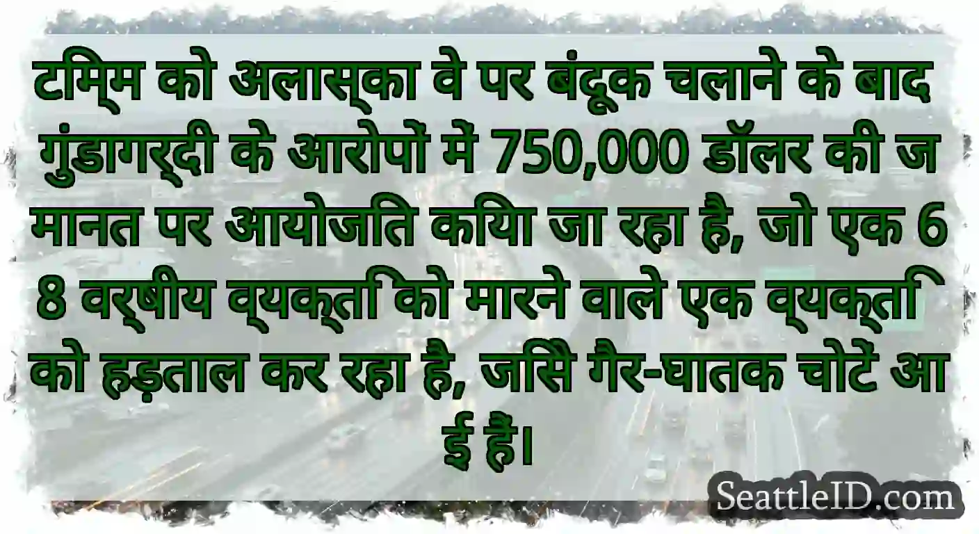 टिम्म को अलास्का वे पर बंदूक चलाने के बाद