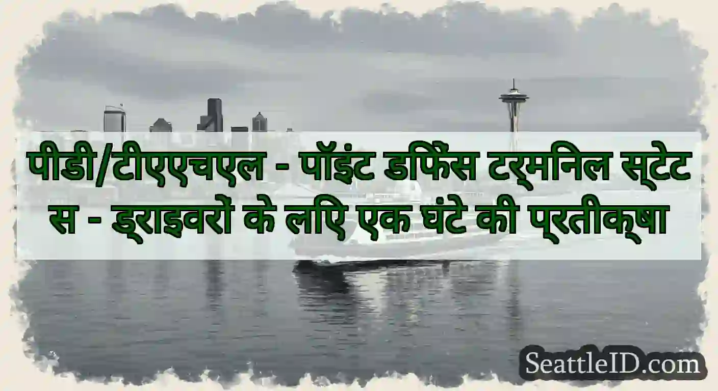 पीडी/टीएएचएल - पॉइंट डिफेंस टर्मिनल स्टेटस -