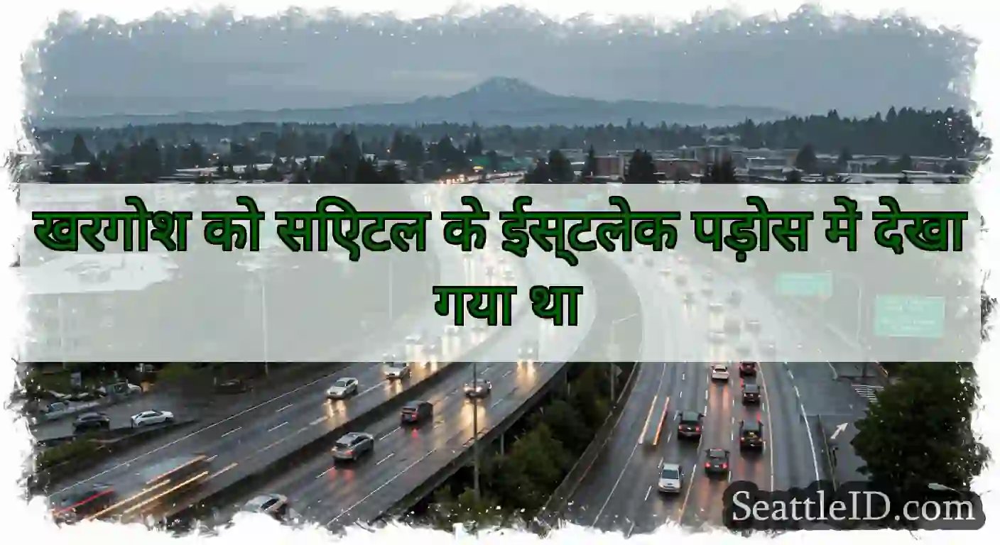 खरगोश को सिएटल के ईस्टलेक पड़ोस में देखा गया था