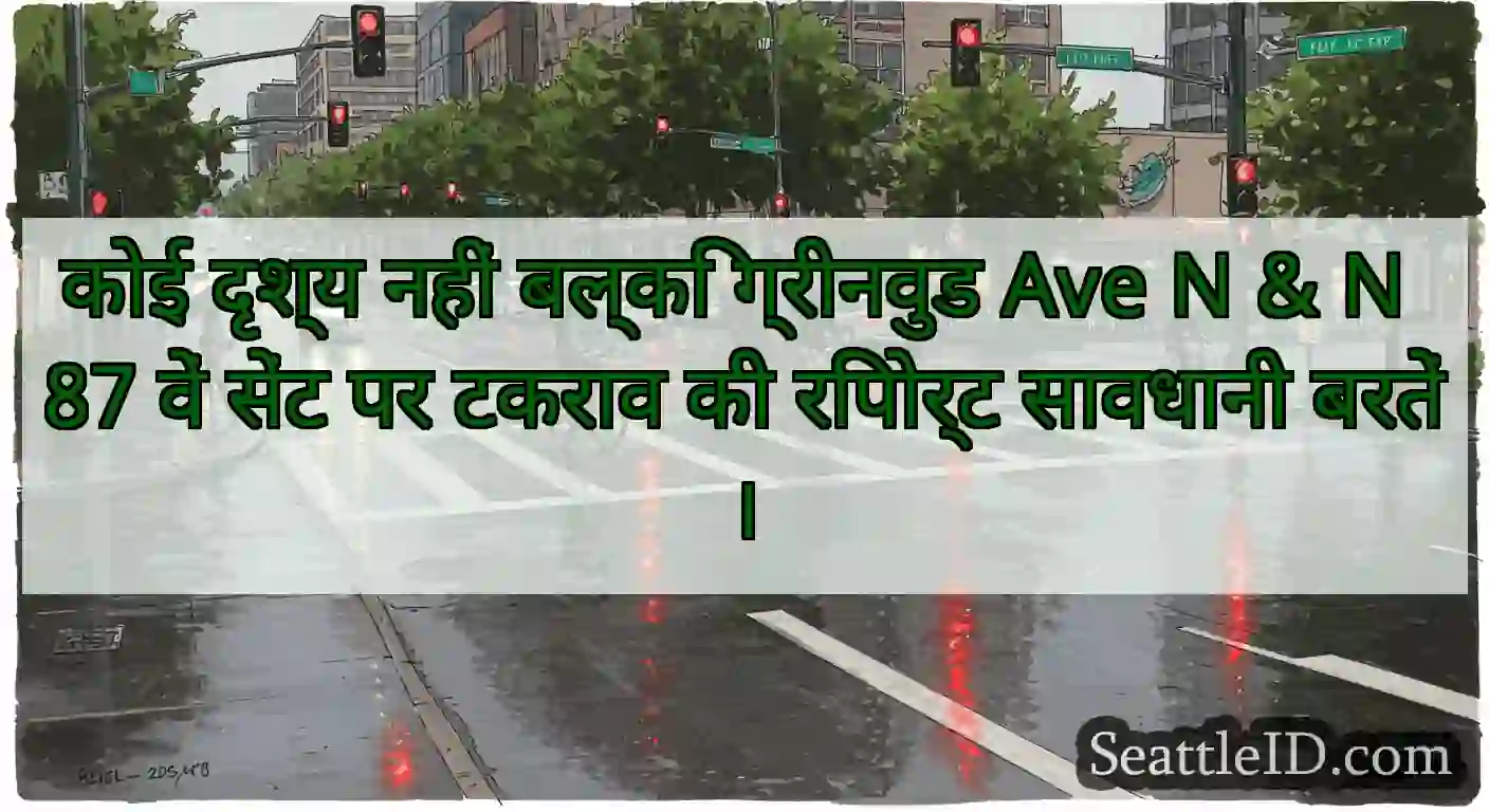 कोई दृश्य नहीं बल्कि ग्रीनवुड Ave N & N 87 वें