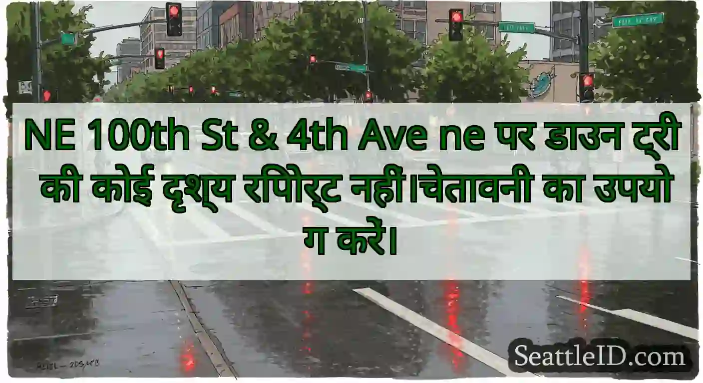 NE 100th St & 4th Ave ne पर डाउन ट्री की कोई