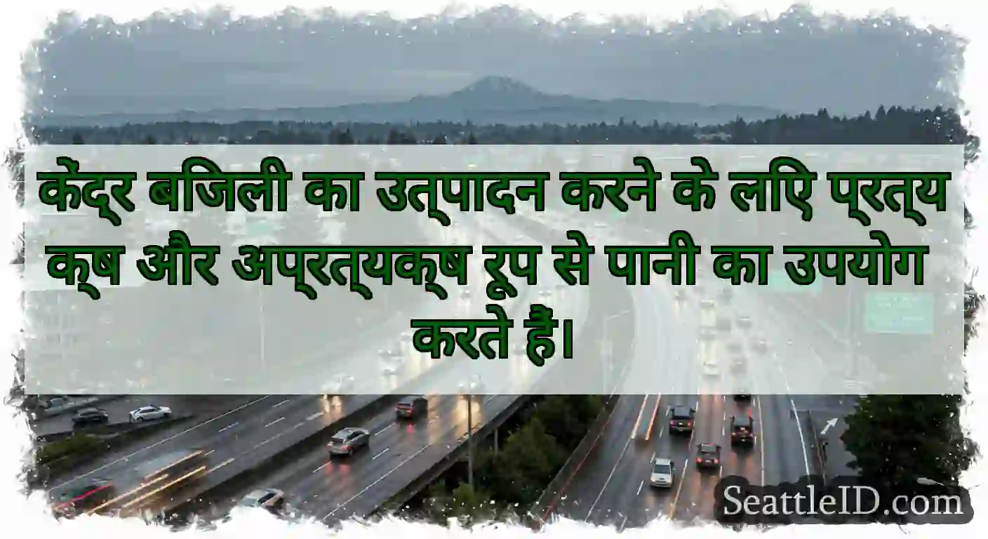 केंद्र बिजली का उत्पादन करने के लिए प्रत्यक्ष और