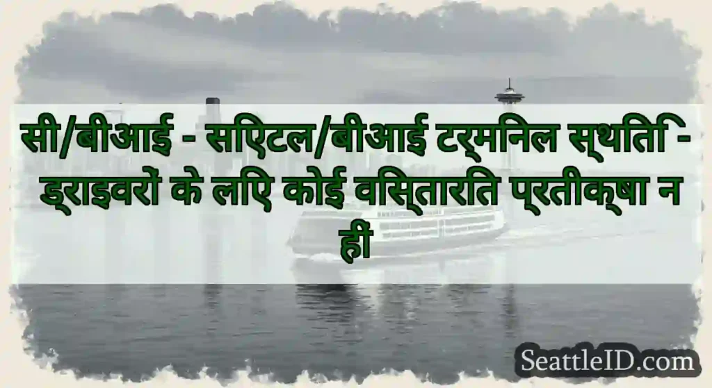 सी/बीआई - सिएटल/बीआई टर्मिनल स्थिति - ड्राइवरों