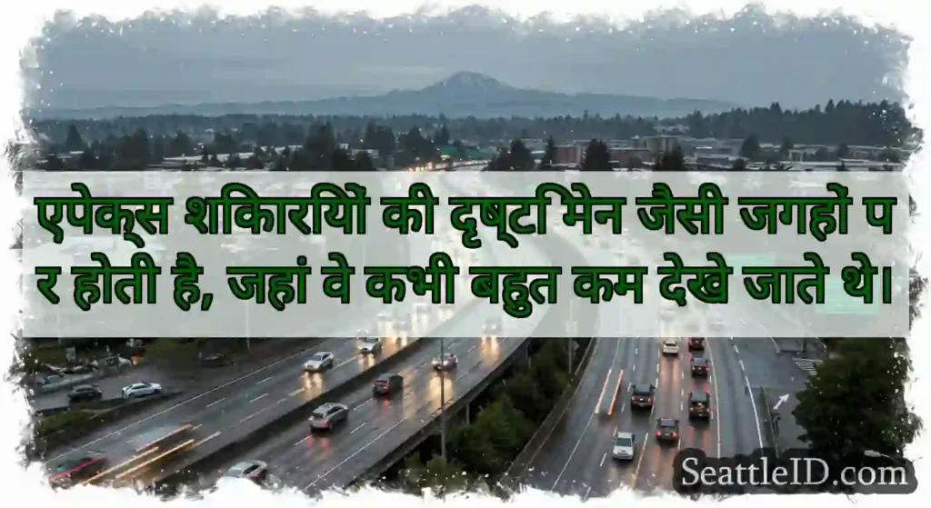 एपेक्स शिकारियों की दृष्टि मेन जैसी जगहों पर होती