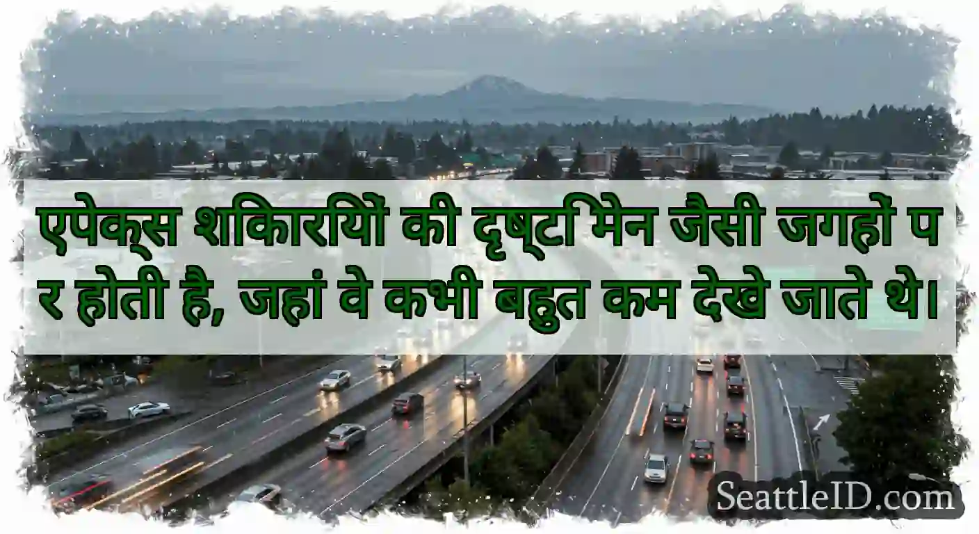 एपेक्स शिकारियों की दृष्टि मेन जैसी जगहों पर होती