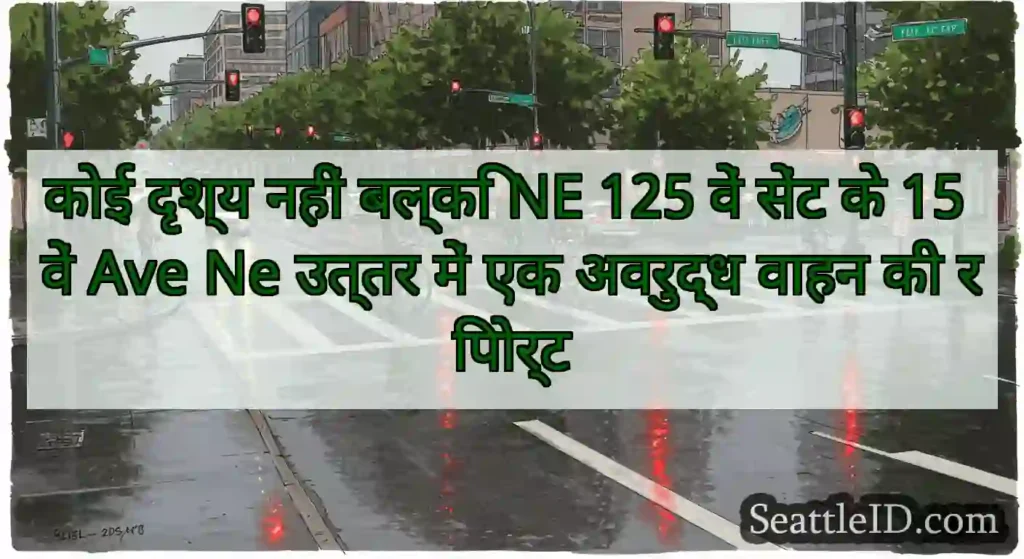 कोई दृश्य नहीं बल्कि NE 125 वें सेंट के 15 वें
