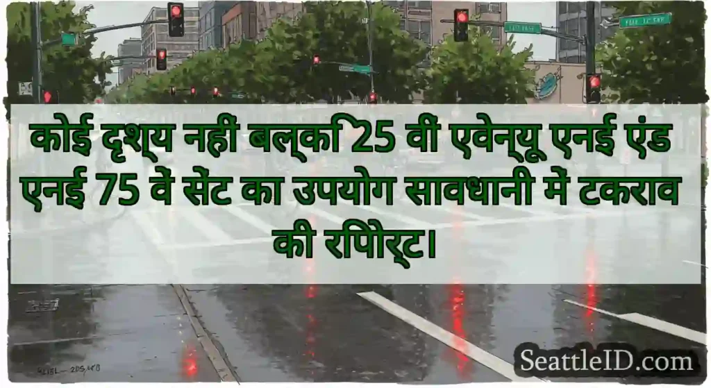 कोई दृश्य नहीं बल्कि 25 वीं एवेन्यू एनई एंड एनई