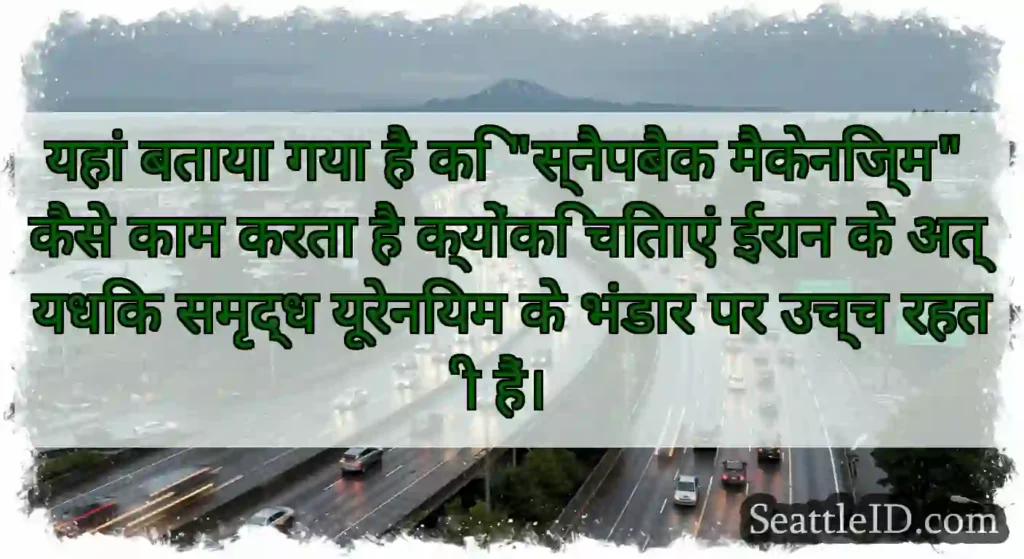 यहां बताया गया है कि स्नैपबैक मैकेनिज्म कैसे काम