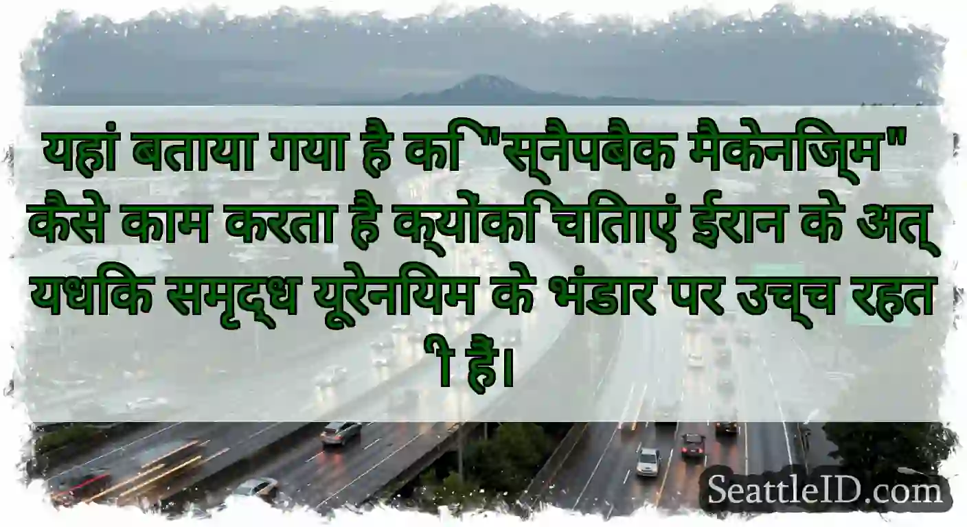 यहां बताया गया है कि स्नैपबैक मैकेनिज्म कैसे काम