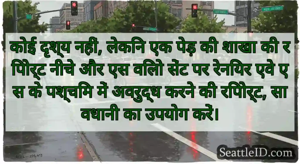 कोई दृश्य नहीं, लेकिन एक पेड़ की शाखा की रिपोर्ट